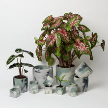 Load image into Gallery viewer, Goodhood x Smith &amp; Goat - Cylinder Concrete Pot - Large - Green and Lilac