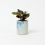 Cylinder Concrete Pot - Small