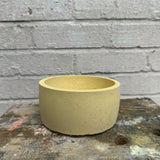 Outlet Concrete Bowl - Sunny Side Up