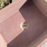 Sample Sale -  Concrete Sink - The Mini Rectangle - Beaver