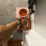 Concrete Pet Bowl
