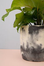 Load image into Gallery viewer, Cylinder Concrete Pot - Large