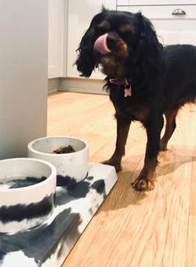 Paul smith dog sales bowl